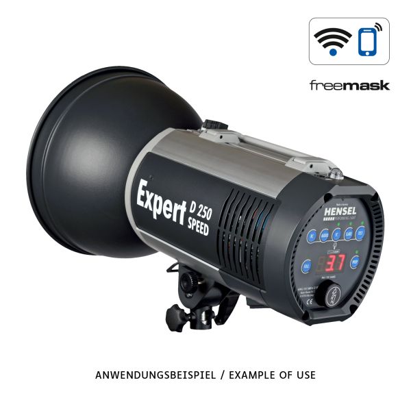 Hensel Expert D 250 Speed